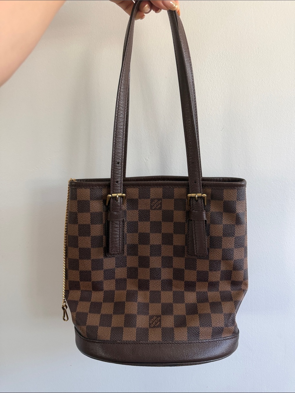 Louis Vuitton Damier Ebene bucket bag